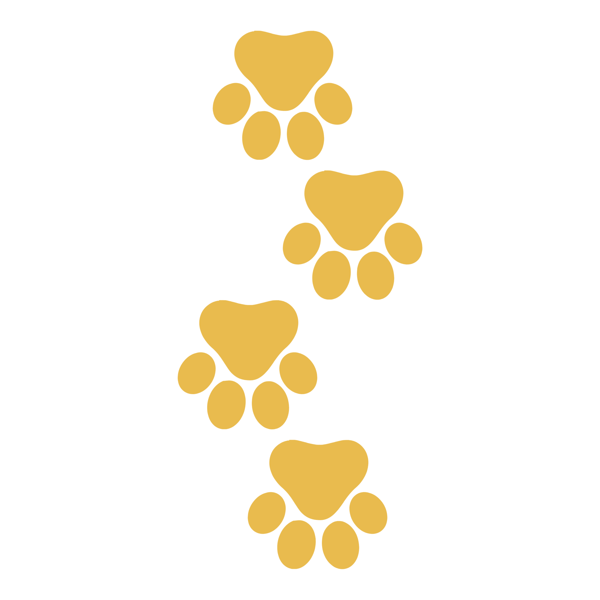 Dog Boarding in Edmonton It's a Dog's Life